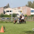 IMG_828465