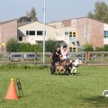 IMG_828466