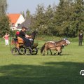 IMG_828467