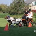 IMG_828470