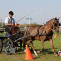 IMG_828479