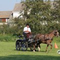 IMG_828480