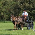 IMG_828481