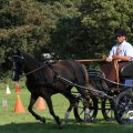IMG_828482