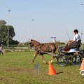 IMG_828483