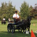 IMG_828484