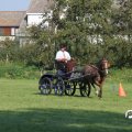 IMG_828487