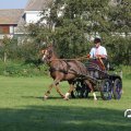 IMG_828488