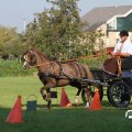 IMG_828490
