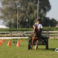 IMG_828491