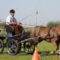 IMG_828493