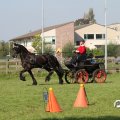 IMG_828494