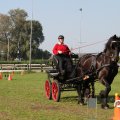 IMG_828495