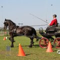 IMG_828499