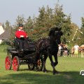 IMG_828500