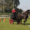 IMG_828508