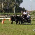 IMG_828509