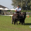 IMG_828510