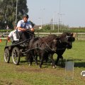 IMG_828511