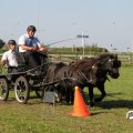 IMG_828512