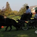 IMG_828515