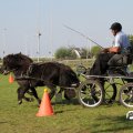 IMG_828517