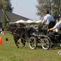 IMG_828519