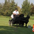 IMG_828521