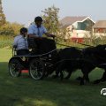 IMG_828522