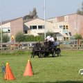 IMG_828523