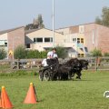 IMG_828524