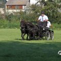 IMG_828526
