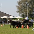 IMG_828531