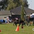 IMG_828532