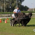 IMG_828534