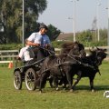 IMG_828535