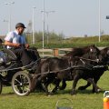 IMG_828536