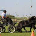 IMG_828537