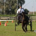 IMG_828538