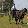 IMG_828539