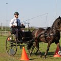IMG_828540