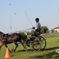 IMG_828541