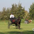 IMG_828542
