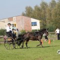 IMG_828545