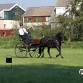 IMG_828547