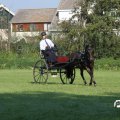 IMG_828548