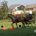 IMG_828550