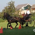 IMG_828551