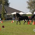 IMG_828553