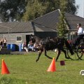 IMG_828554